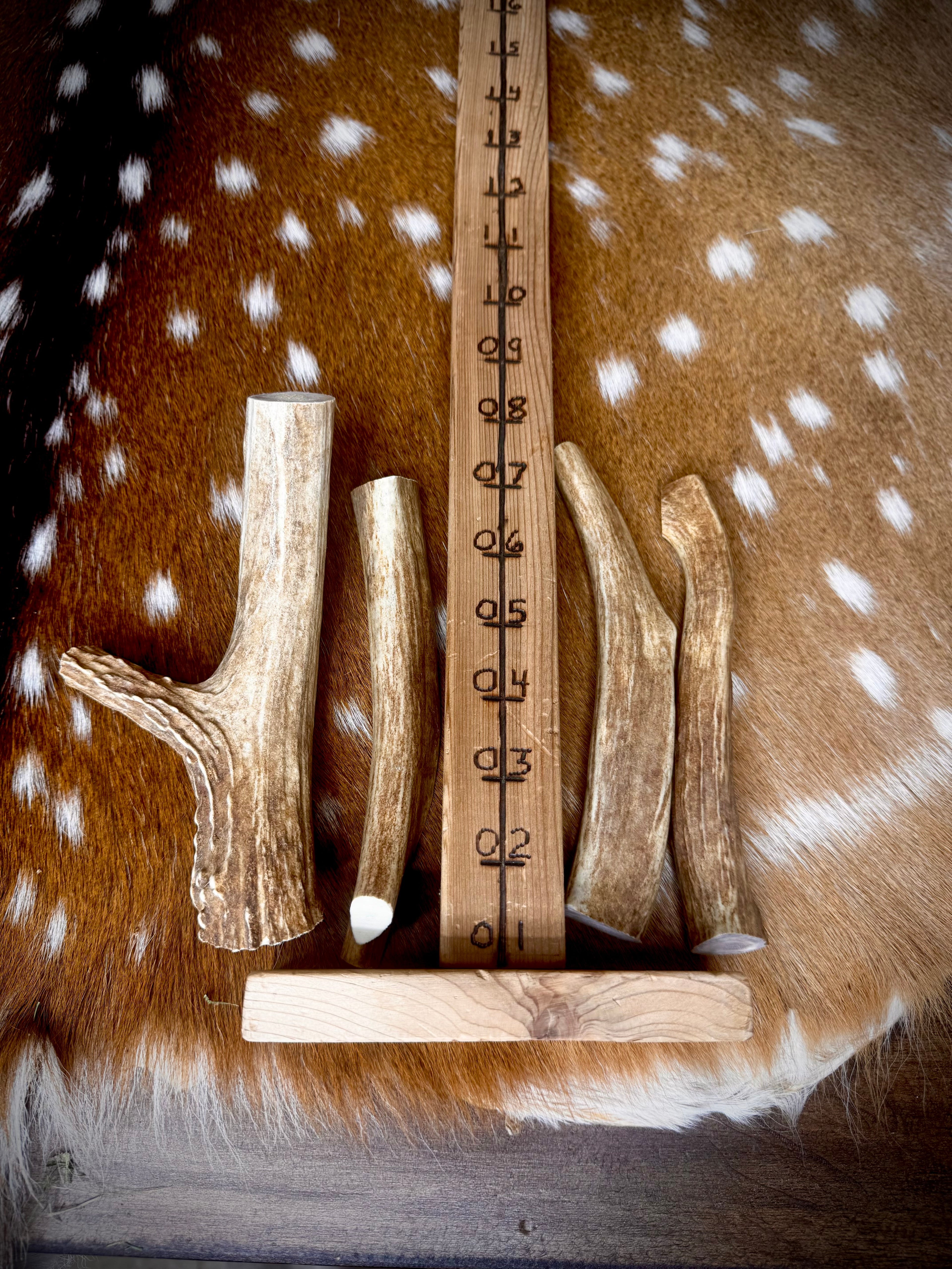 Whitetail Antler Dog Chew Treats - 1 Pound Groups - Free Ship