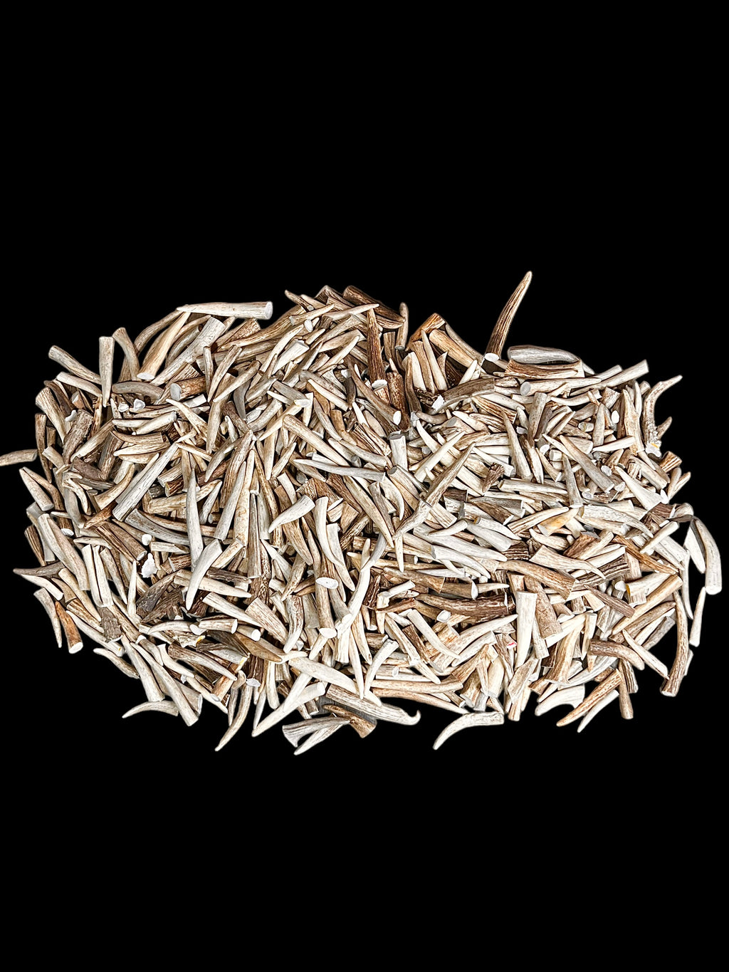 Extra-Small Deer Antler Tips/Tines/Points - 1-4" Long - 12, 24, & 48 Packs