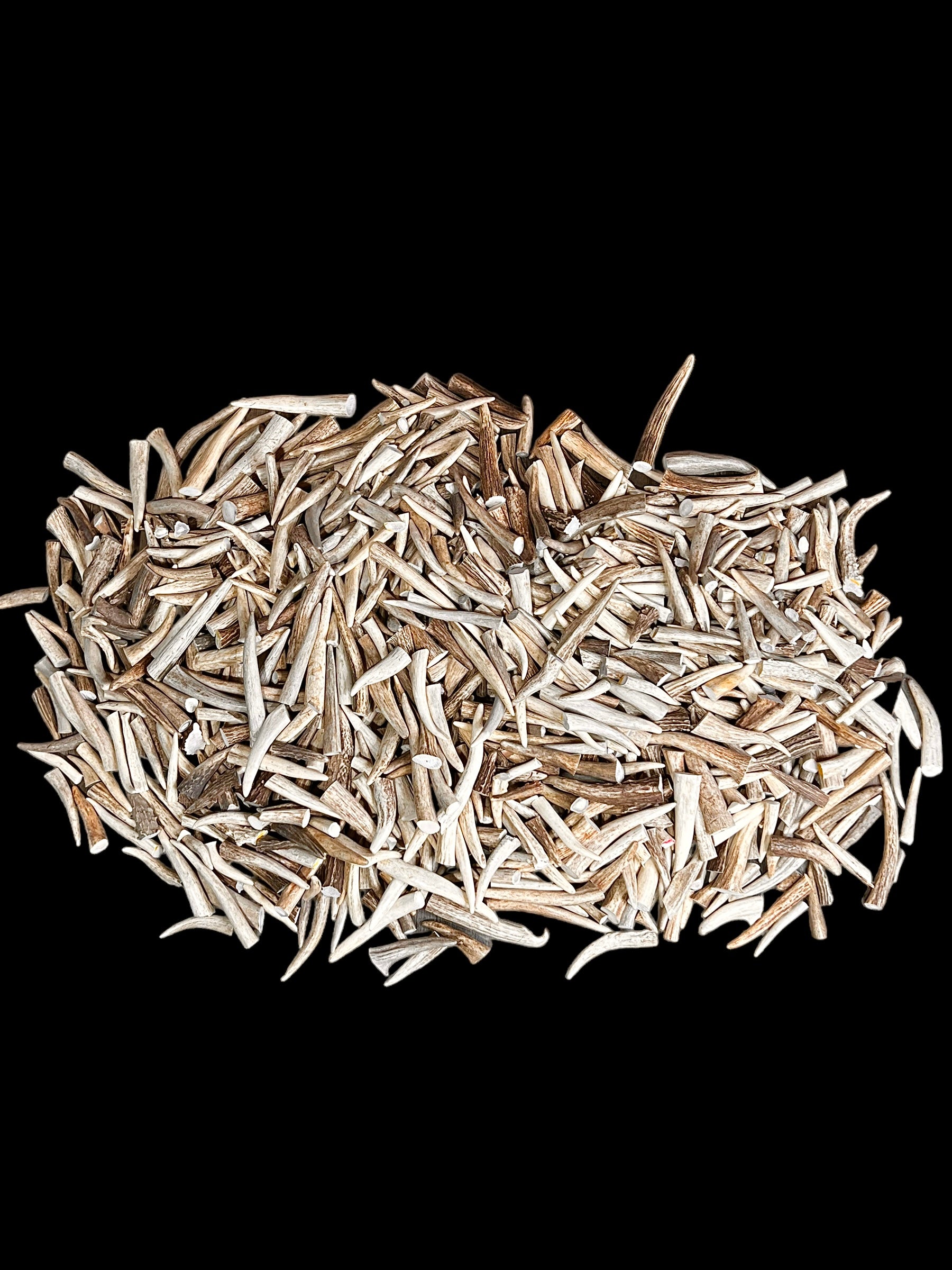 Extra-Small Deer Antler Tips/Tines/Points - 1-4" Long - 12, 24, & 48 Packs