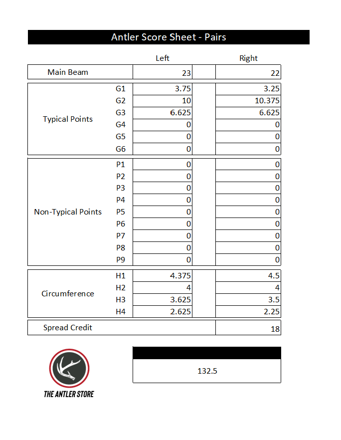 132" Matching Pair Whitetail Antler Sheds | Extra Large | Premium Color